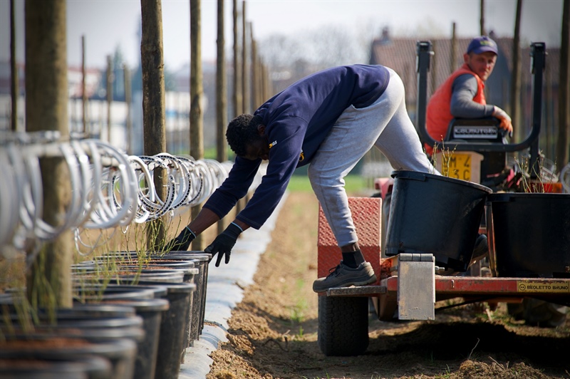 NASCE “AGRICOLTURA DI VALORE”