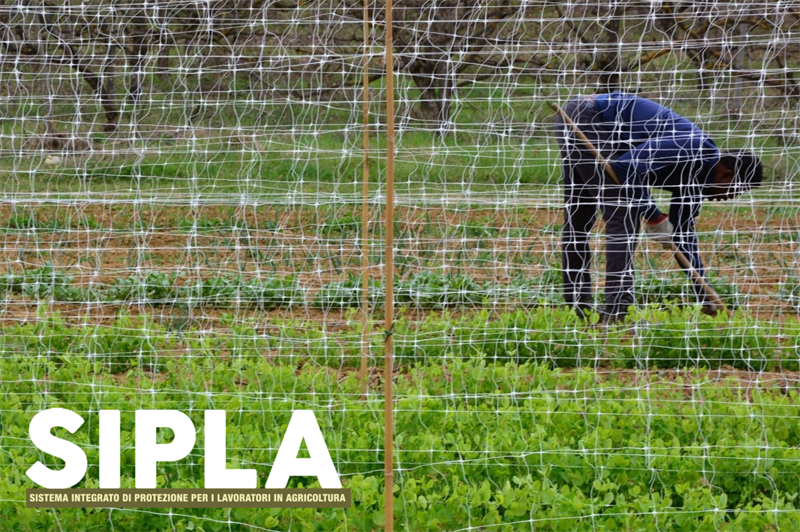 L’ESPERIENZA DEL PROGETTO SIPLA NELL’INSERIMENTO LAVORATIVO