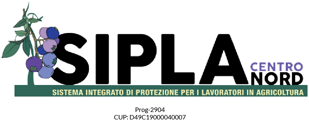 logo rete sipla